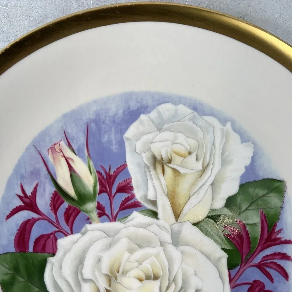 1981 WHITE‎ LIGHTNIN' American Rose Society Plate 2594- 9800